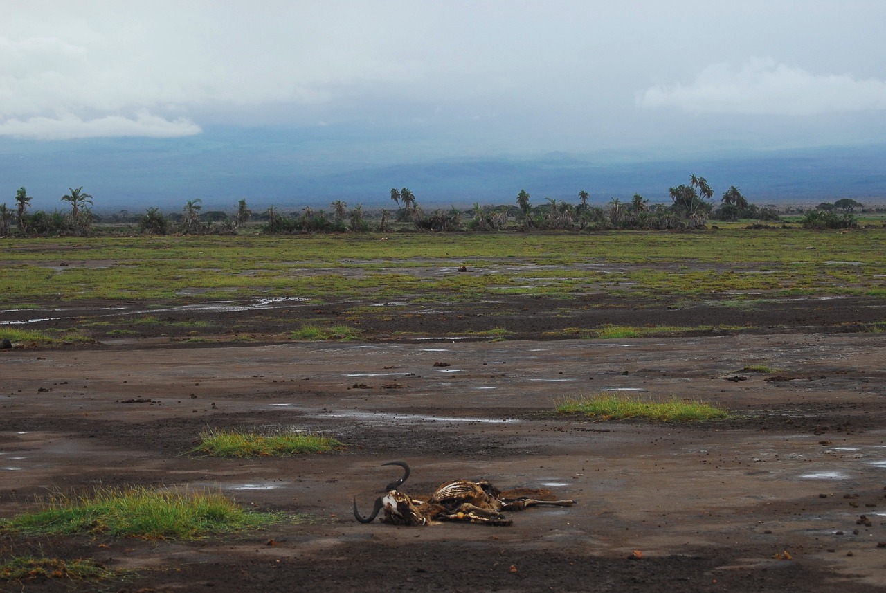 The Physics of Climate Change - What You Need to Know